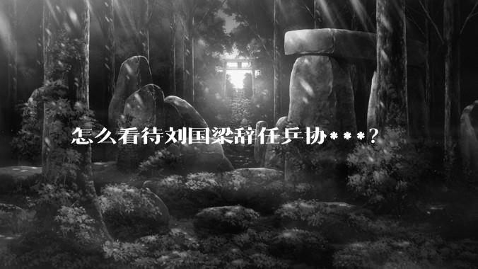 怎么看待刘国梁辞任乒协***？