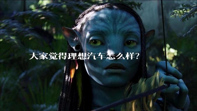 大家觉得理想汽车怎么样？