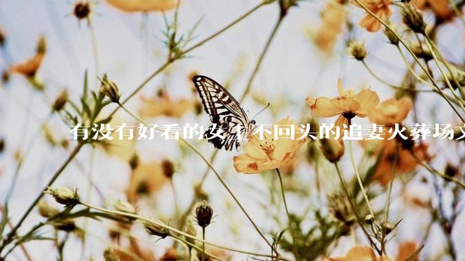 有没有好看的女主不回头的追妻火葬场文？
